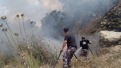 حريق يلتهم 300 شجرة زيتون غرب جنين