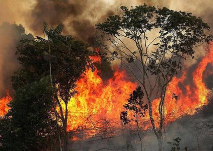 حرائق الامازون مستمرة والبرازيل ترسل الاف الجنود لمكافحتها