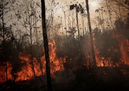 "البابا فرنسيس" يطالب العالم بالتكاثف لإخماد حرائق الأمازون
