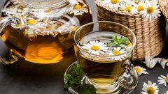 البابونج العشبة السحرية