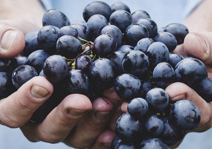 عصير العنب يقوي القلب