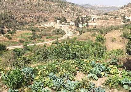 اقتحام منطقة المخرور في بيت جالا تمهيدا لهدم منزل ومطعم