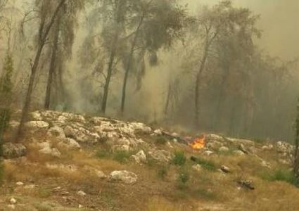 حرائق هائلة بالقرب من بيت شيمش