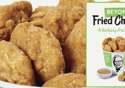 ولاية جورجيا..كنتاكي تطرح وجبة "الدجاج المقلي" للمرة الأولى