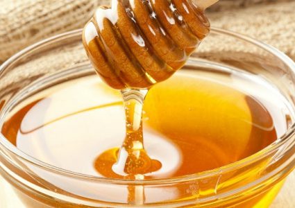 شاهد دب يتناول العسل بالملعقة في روسيا