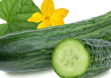 الخيار يعالج الزهايمر والحساسية