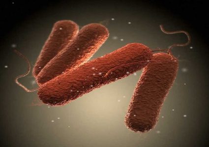 دراسة تحذر: سلالة السالمونيلا المميتة لا تتأثر بالمضادات الحيوية