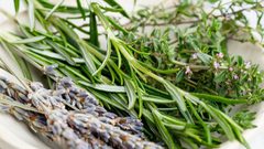 علاج التهاب البول بالاعشاب