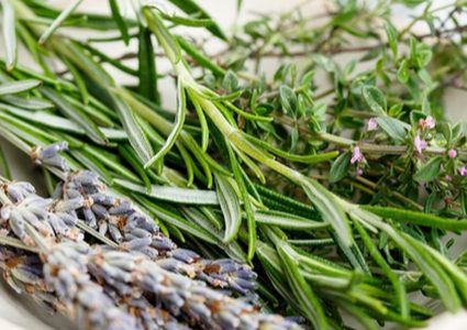 علاج التهاب البول بالاعشاب