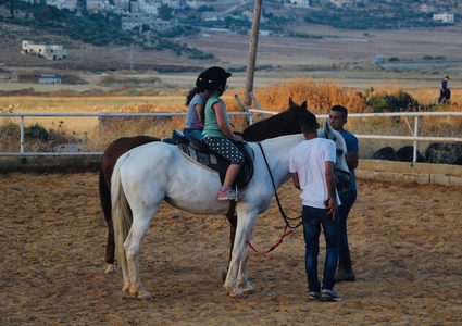 نادي نابلس للفروسية..أنعش رياضة كادت تحتضر