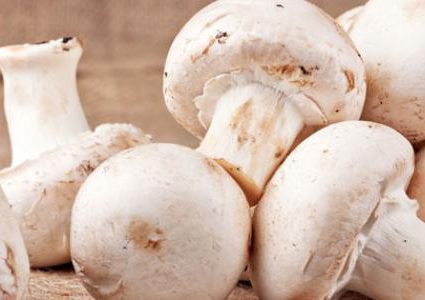 لماذا يجب عليك اضافة الفطر لنظامك الغذائي ؟