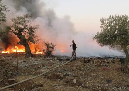 الدفاع المدني يخمد حريقا التهم 20 شجرة زيتون في جنين