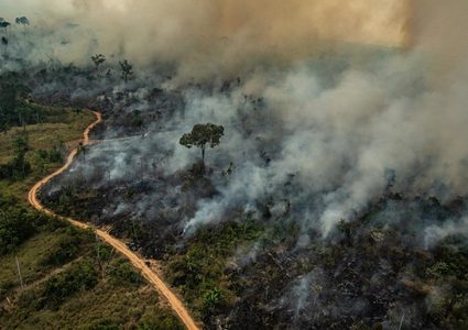 تحركات أممية ودولية لإنقاذ حريق "الرئة الثانية"
