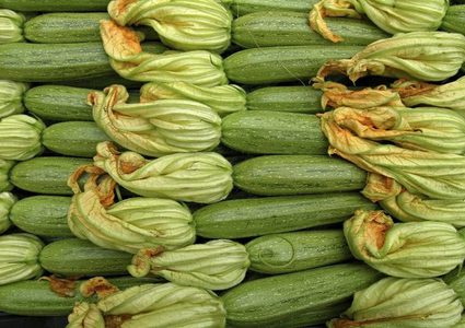 فوائد الكوسا للجسم