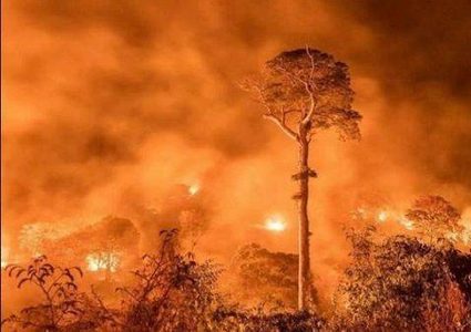 واشنطن تخذل داعمي البرازيل لمكافحة حرائق الأمازون