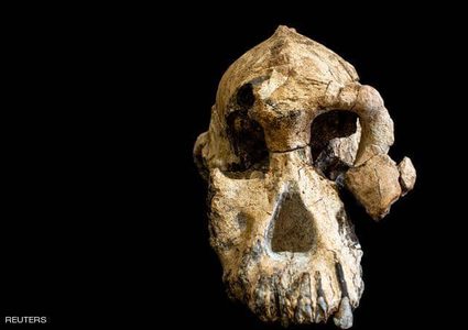 اكتشاف جمجمة عمرها 3.8 مليون عام في أثيوبيا