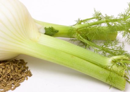 ما هو الشمر وما هي فوائده؟