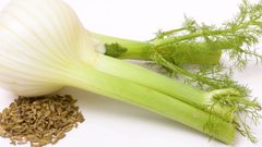 ما هو الشمر وما هي فوائده؟