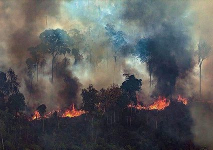 حرائق الأمازون تمتد والبرازيل تدرس عروض لإخمادها