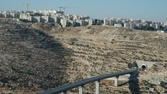 "عصابات تدفيع الثمن" تعتدي على مزارع