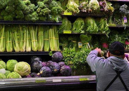 الفرق في الفوائد الغذائية بين الخس الأخضر والأحمر