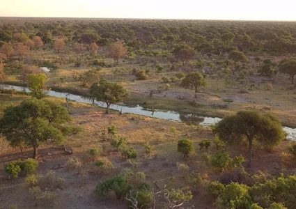 قتل حيوان نادر جدا في الدنمارك