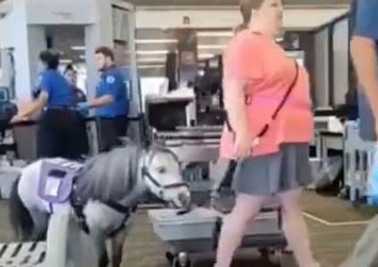 سيدة تصطحب حصانها إلى نقطة تفتيش القطارات