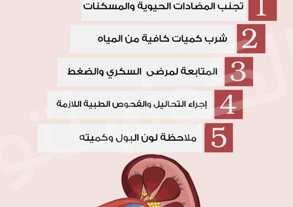 نصائح للحفاظ على صحة الكلى