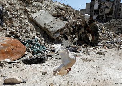 تقديرات أممية: أكثر من ألف قتيل غربي سوريا