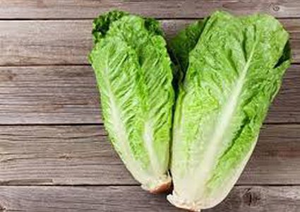 بهذه الحيلة تعود أوراق الخس طازجة