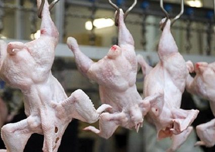 ارتفاع طفيف على أسعار الدجاج في قطاع غزة