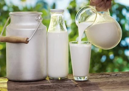 مرضى السكري .. لا تتناولوا الحليب على الإفطار