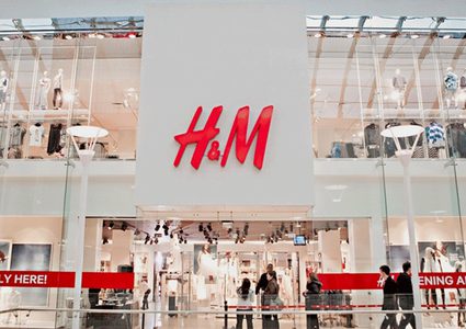 بسبب حرائق الأمازون..شركة عالمية توقف شراء الجلود من البرازيل