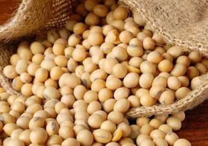 فول الصويا.. هل يقلل الكوليسترول في الدم؟
