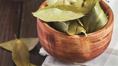 علاج السرطان والسكري بأوراق اللورا