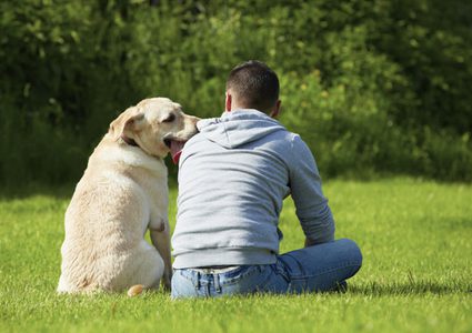 بدءا من العام المقبل.. مدينة أوروبية تفرض ضريبة على تربية الكلاب