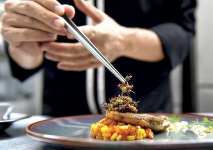 افتتاح أول مطعم يقدم "وجبات من الحشرات" في جنوب افريقيا