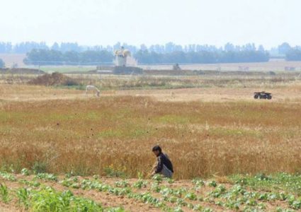 استهداف مزارعي شرقي غزة