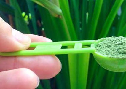 ما هي أهم فوائد عشبة القمح ؟