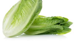 لا ترمي اوراق الخس الذابلة لهذا السبب