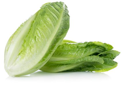 لا ترمي اوراق الخس الذابلة لهذا السبب