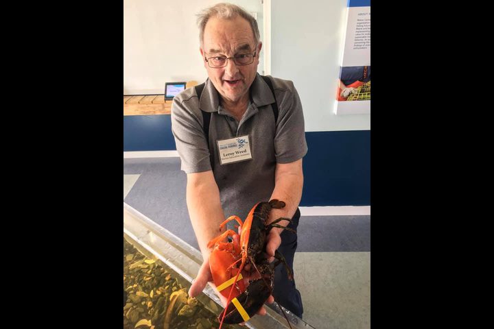 اكتشاف سرطان بحري بلونين!