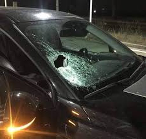 مستوطنون يهاجمون منازل المواطنين بالحجارة شرق الخليل