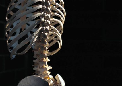 كيف تحافظ على عظامك قوية وتحميها من الكسور؟