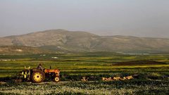 قطار التنمية بالعناقيد يصل الى الأغوار