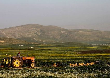 قطار التنمية بالعناقيد يصل الى الأغوار