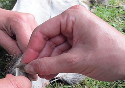 قطع أثرية تدل على تطور التكنولوجيا قديماً