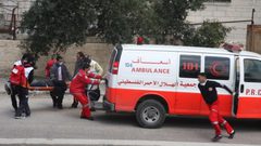 مصرع طفل من سكان بلدة قفين بحادث سير