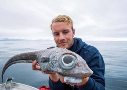 شاب يصطاد "السمكة الديناصور" قبالة إحدى جزر النرويج