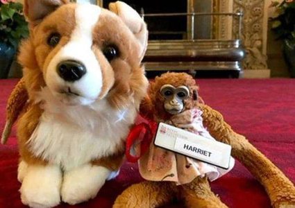 قصر بكنغهام يعيد دمية مفقودة إلى طفلة أسترالية